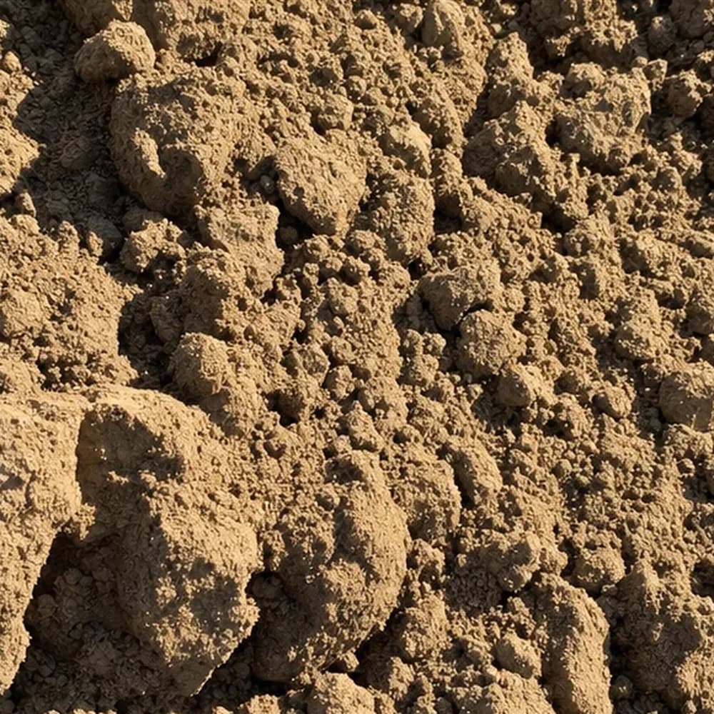 Fill Dirt