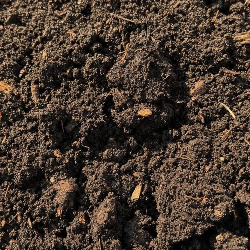 Garden Soil