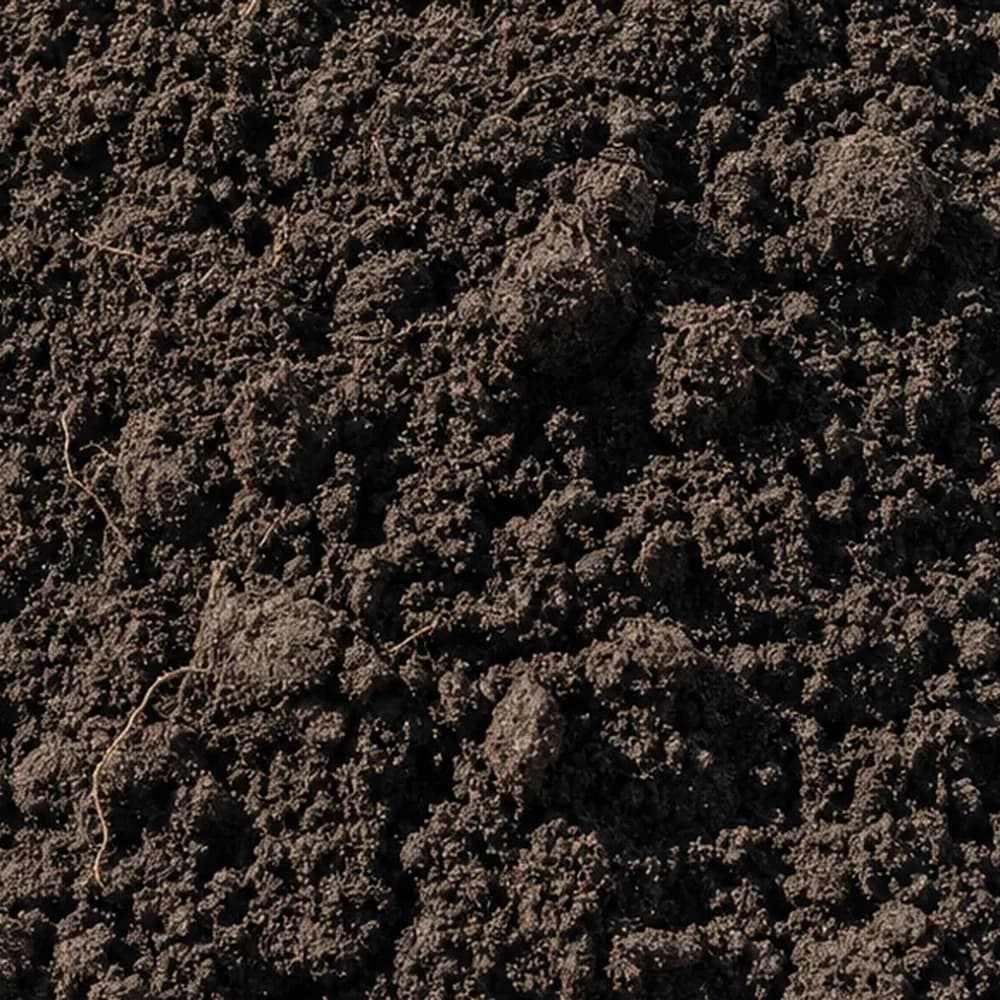 Top Soil