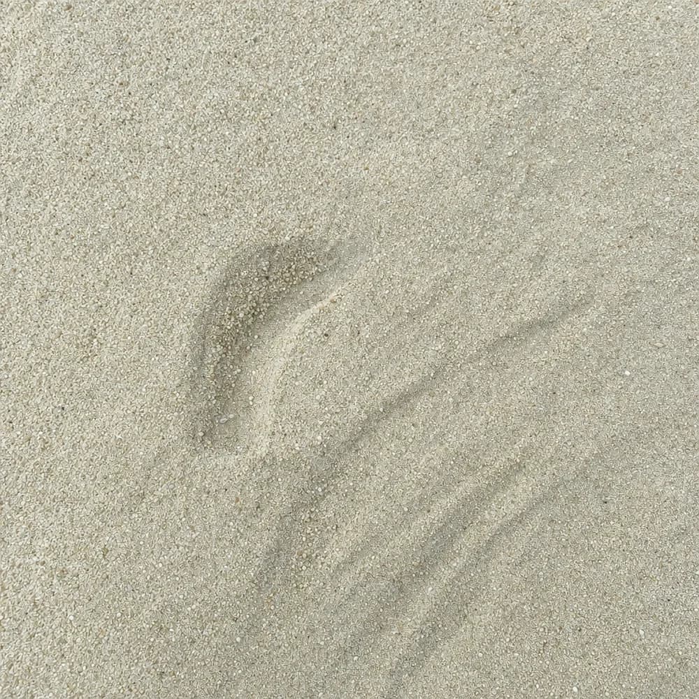 Washed Sand